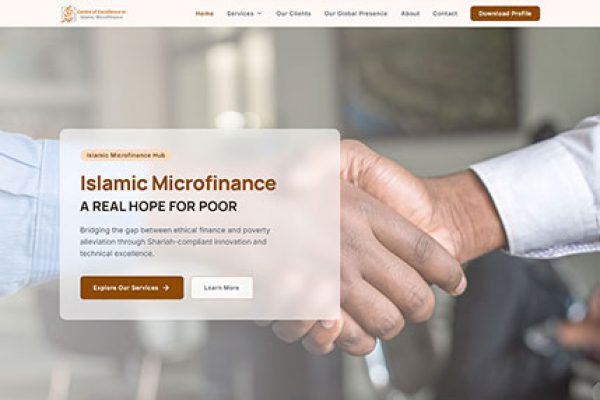 Microfinance AI Platform